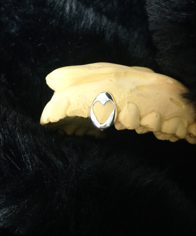 925 sterling silver custom made heart shape window grillz single cap